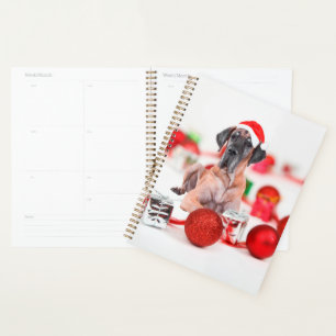 Agenda Cachorro Cachorro Cachorro Cachorro Noel Chapat