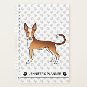 Agenda Cachorro Casaco Suave, Vermelho e Branco, Ibizan H