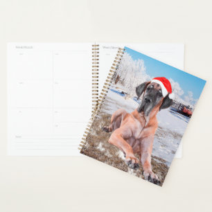 Agenda Cachorro Cute Great Dane Sentado Na Neve Chapéu de