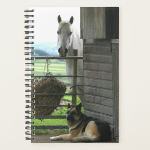 Agenda Cachorro Equino de Foto Equina