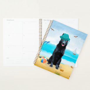Agenda Cachorro German shepherd Negro na praia