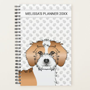 Agenda Cachorro Mini Goldendoodle de Partida Apricot