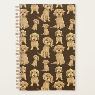 Agenda Cachorro Prato-de-porco Marrom labradoodle goldend