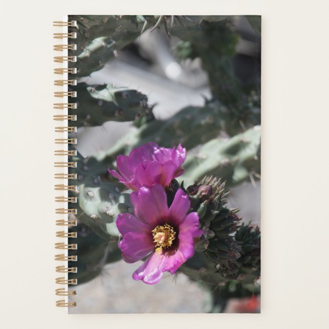 Agenda Cacto Challa em flor (Frente)