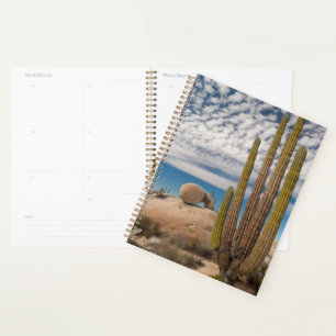 Agenda Cacto no cenário do deserto