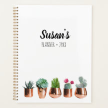 Cactus e Sucultos em Potes Dourados Rosa