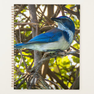 Agenda Caderno de Impressão de Arte da Vida Selvagem do G