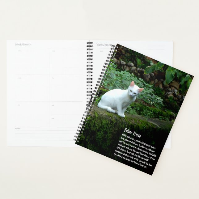 Agenda Calendário de Cat Branco (Exibição)