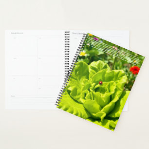 Agenda Calendário de Joaninha