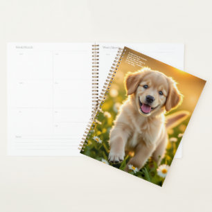 Agenda Calendário de Margaridas