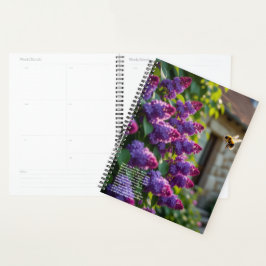 Agenda Calendário de Simbolismo de Lilás