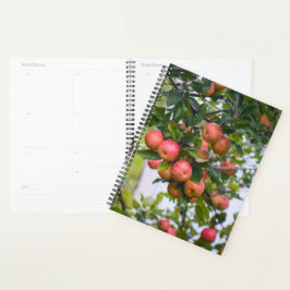 Agenda Calendário do Molho Apple