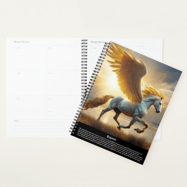 Agenda Calendário do Pegasus (Exibição)