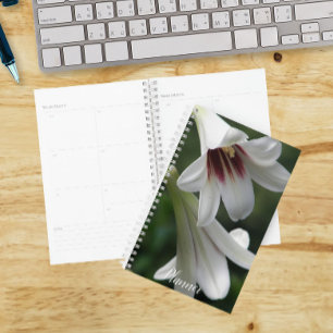 Agenda Calendário Floral dos Lírios Gigantes Himalaiano