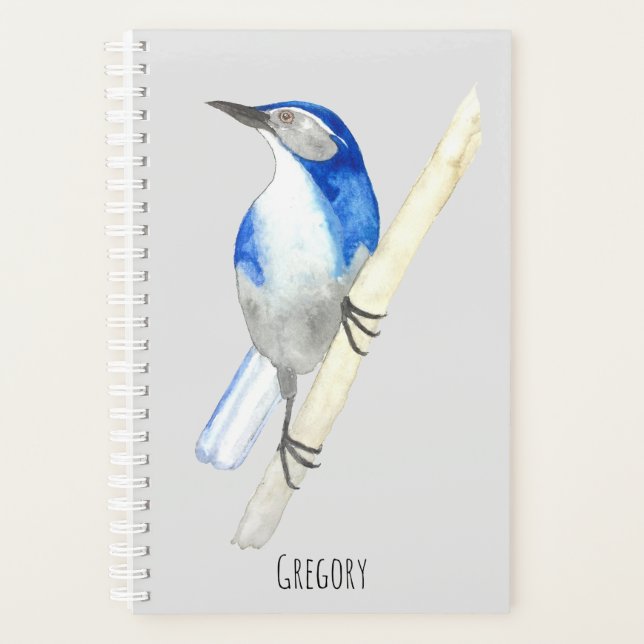 Agenda California Scrub Jay (Frente)