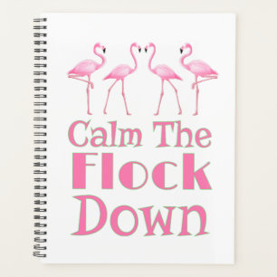 Agenda Calma, Flamingo Engraçado.