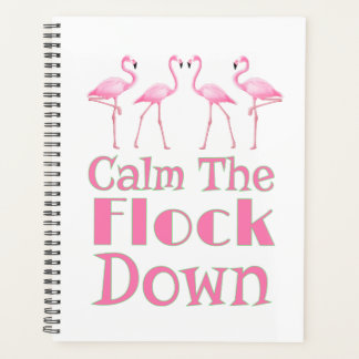Agenda Calma, Flamingo Engraçado.