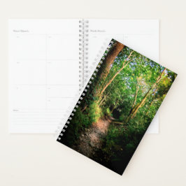 Agenda Caminhando pelas árvores