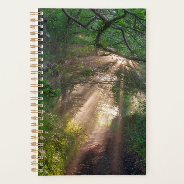 Agenda Caminho da Floresta (Frente)