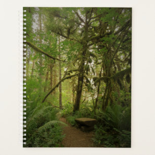 Agenda Caminho da Floresta Verde Pacífica em Washington
