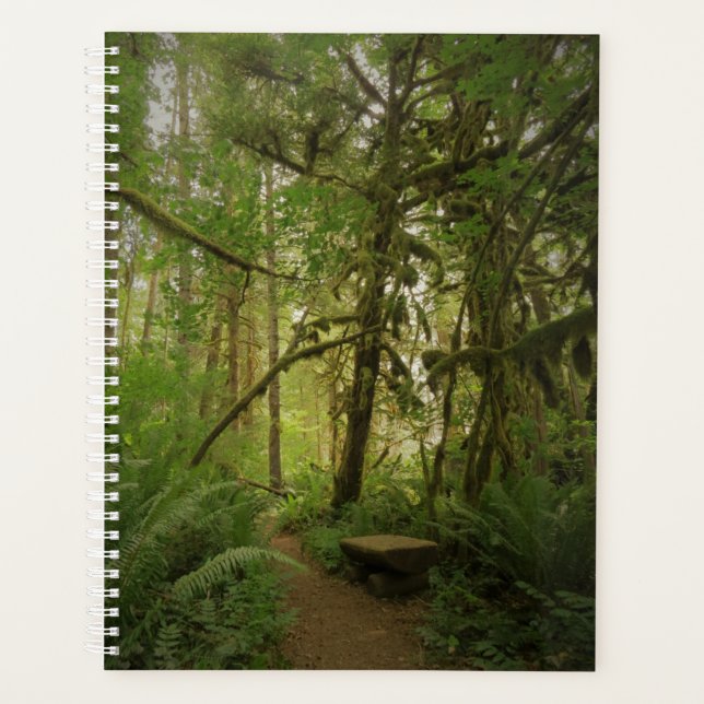 Agenda Caminho da Floresta Verde Pacífica em Washington (Frente)