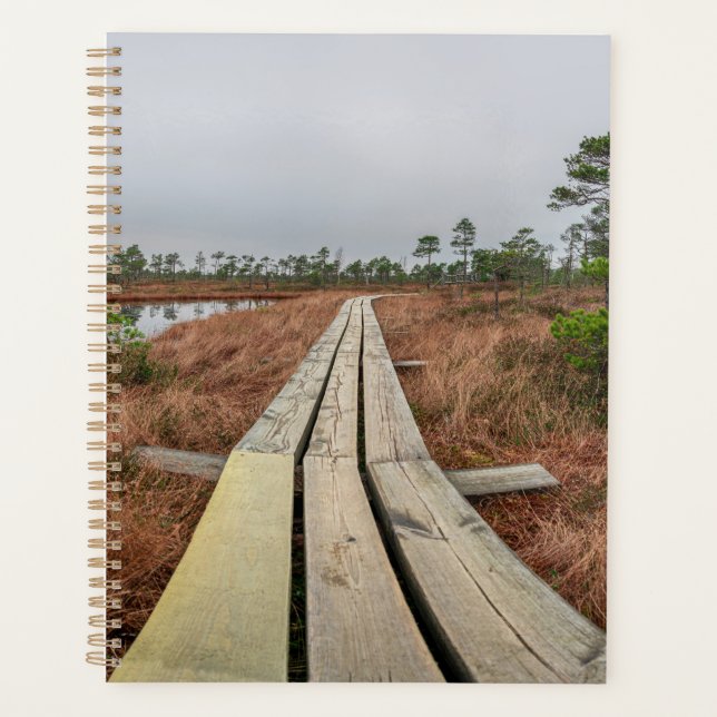 Agenda Caminho de caminhada em pântano (Frente)
