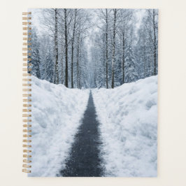 Agenda Caminho Florestal Nebuloso no Inverno Paisagem de