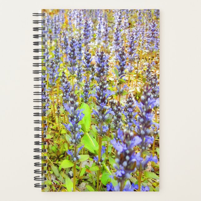 Agenda Campo de Flores Roxas bonito (Frente)