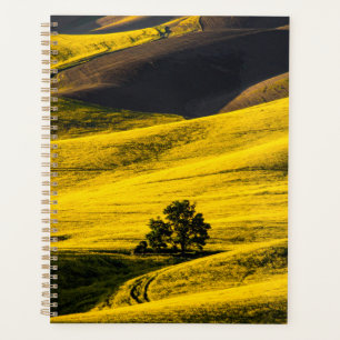 Agenda Campo de prado amarelo no vento