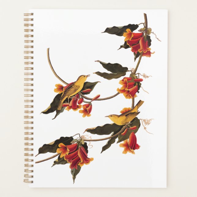 Agenda Canaviais Amarelos de Warbler na Flor da Vinha (Frente)