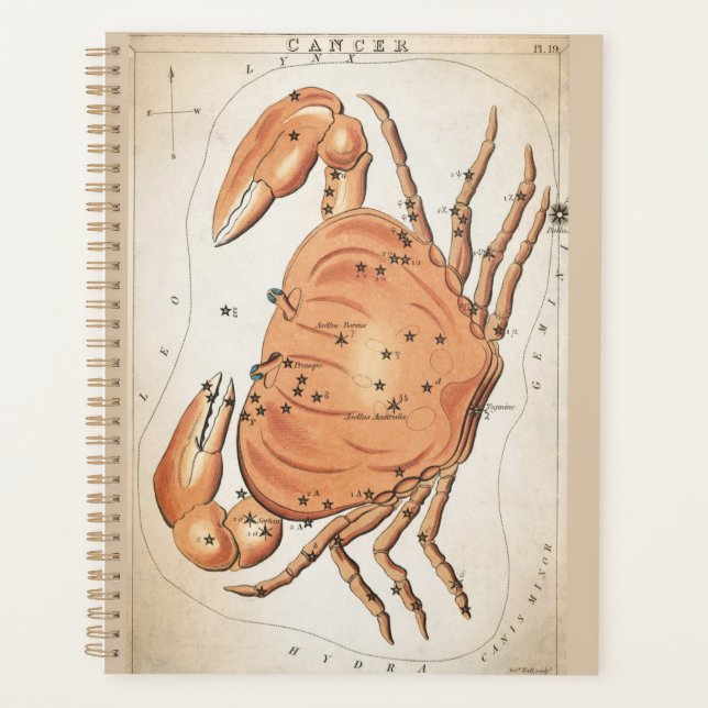 Agenda Cancer Celestial Zodiac (Frente)