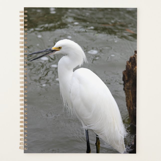Agenda Cantando Snowy Egret (Frente)