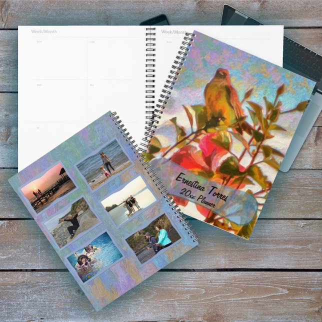 Agenda Cantor Poolside 2338 (Criador carregado)