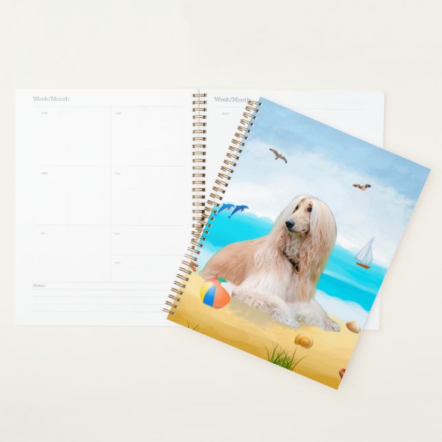 Agenda Cão Afghan Hound na Praia (Exibição)