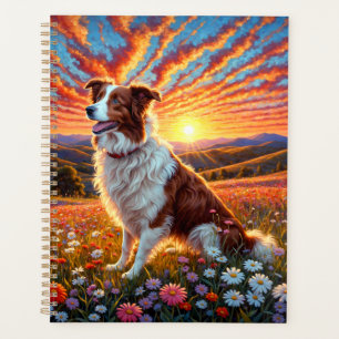 Agenda Cão Border Collie