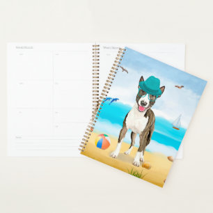 Agenda Cão Bull Terrier na Praia