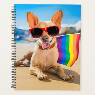 Agenda Cão Chihuahua na praia
