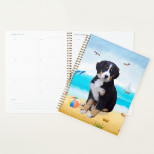 Agenda Cão de Montanha Bernês na Praia