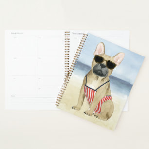 Agenda Cão quente Cãibras Nos Óculos De Sol Na Praia