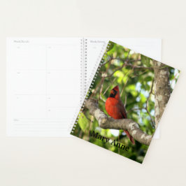 Agenda Cardeal em árvore personalizado