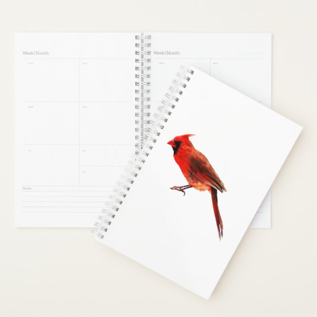 Agenda Cardinal (Exibição)