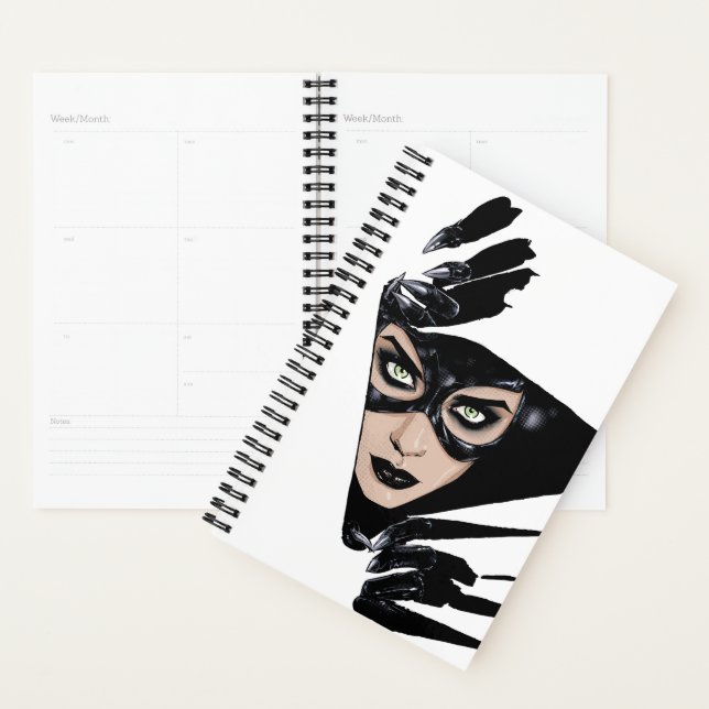 Agenda Catwoman The Claws Are Out Cover Illustration (Exibição)