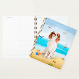 Agenda Cavalier King Dog em Beach