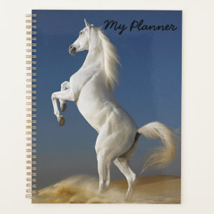 Agenda Cavalo Branco