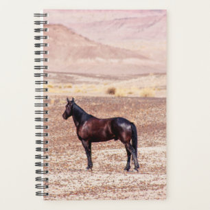 Agenda Cavalo do Deserto P8664