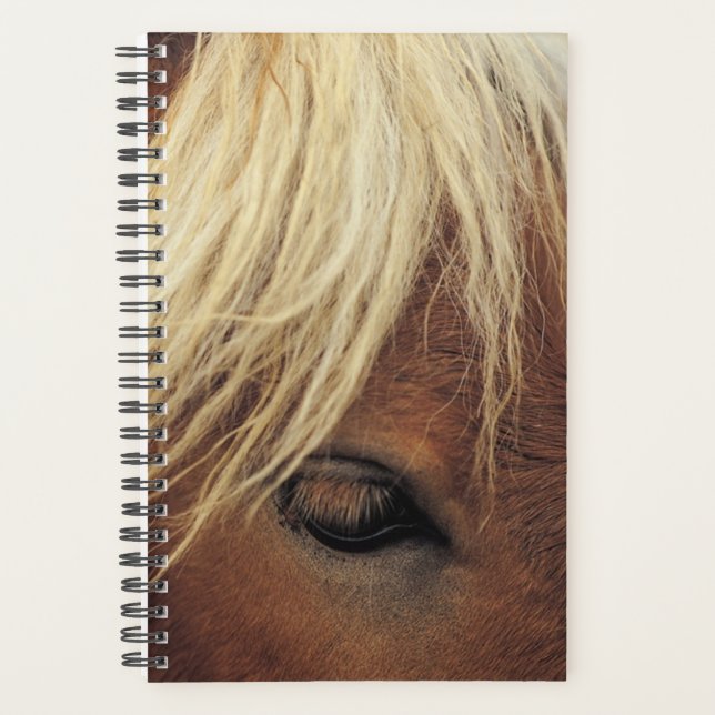 Agenda Cavalo Foto Equina Cavalo, Homem Branco (Frente)