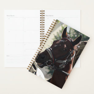 Agenda Cavalo Marrom Estilizado Sorrindo Desenho Da Cabeç