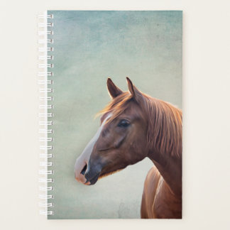 Agenda Cavalo retrato de desenho
