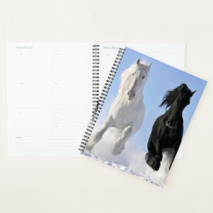 Agenda Cavalos