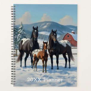 Agenda Cavalos de Appaloosa Pretos numa Fazenda no invern